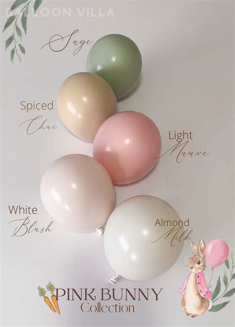 Peter Rabbit DIY Balloon Garland Arch Kit Custom High Quality Matte