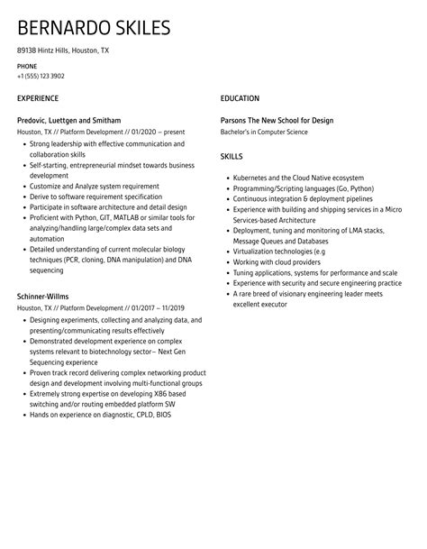 Platform Development Resume Samples Velvet Jobs