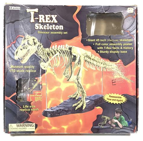 Lot B C Bones T Rex Skeleton Dinosaur Assembly Set