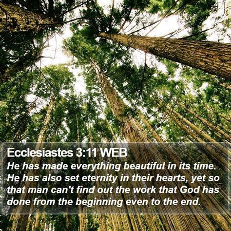 Ecclesiastes 3 11 Web He Has Made Everything Beautiful In Its Time He