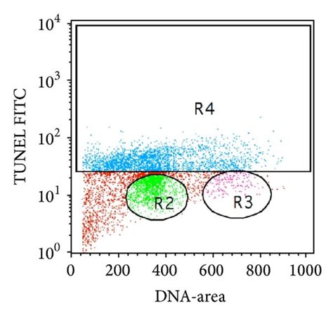 Tunel Flow Cytometric Analysis Of Mda Mb 231 Cells Treated With D Download Scientific