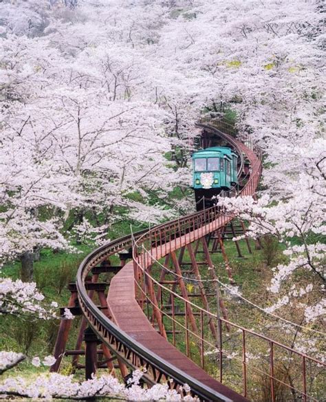 Fukushima Prefecture, Japan 🇯🇵🌸 : pics