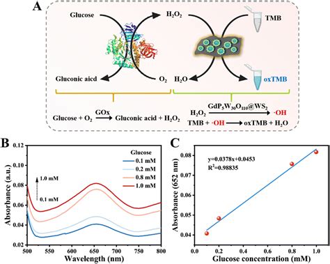 A Polyoxometalate Based Heterojunction Nanozyme With Peroxidase Mimic