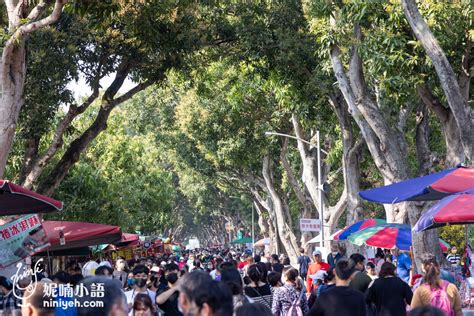 古坑綠色隧道：假日市集好吃好玩超好逛的雲林美食景點 Nico＆妮喃小語