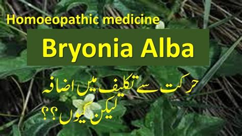 Lecture On Bryonia Alba Homeopathic Medicine For Rheumatism And