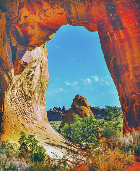 Pine Tree Arch Devils Garden Arches National Park Moab Utah Photograph