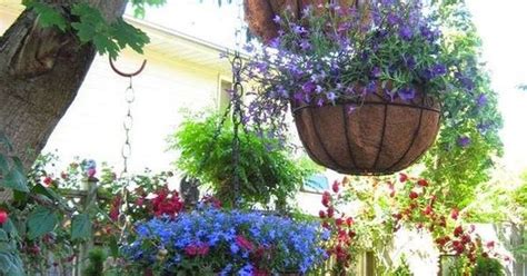 Top Super Hanging Flower Basket Ideas