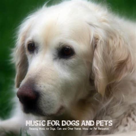 Music For Dogs And Pets Relaxing Music For Dogs Cats And Other