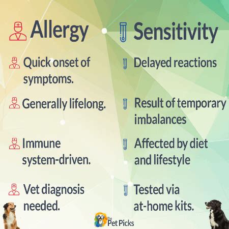 Top 8 Most Common Dog Sensitivity & Intolerance Symptoms - The Pet Picks