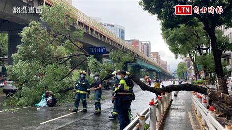 北市復興北路樹倒塌壓倒機車 2人緊急送醫 警方提供 Youtube