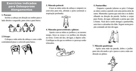 Exercicios Domiciliares Cinesioterapia