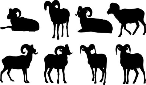 Bighorn Sheep Silhouette Images – Browse 1,303 Stock Photos, Vectors, and Video | Adobe Stock