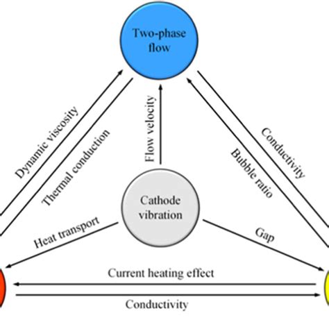 Schematics Diagram Of The Multiphysics Field Coupling Under Cathode