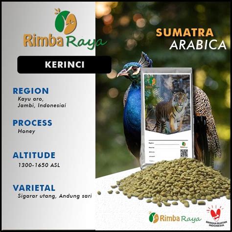 Jual Arabica Green Bean Kerinci Hooney Process Kg Shopee Indonesia