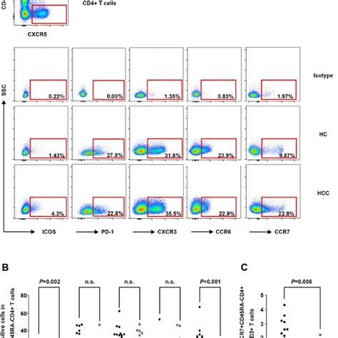 Phenotypic Marker Expression On Circulating CXCR5 CD45RA CD4 T