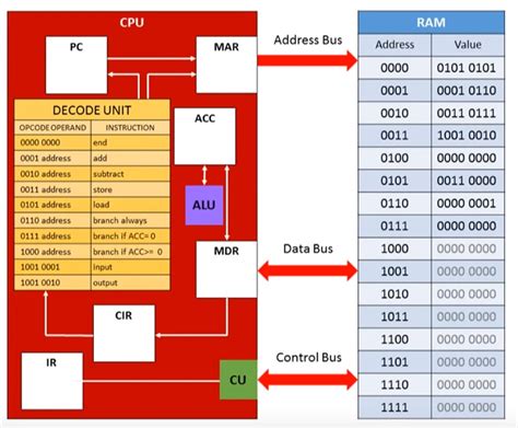 1.1.1 The Processor Diagram | Quizlet