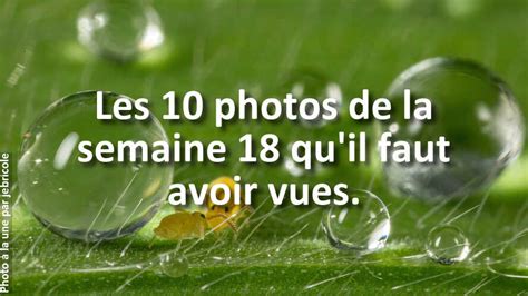 Les Photos De La Semaine Qui Vont Vous Faire Retrouver L