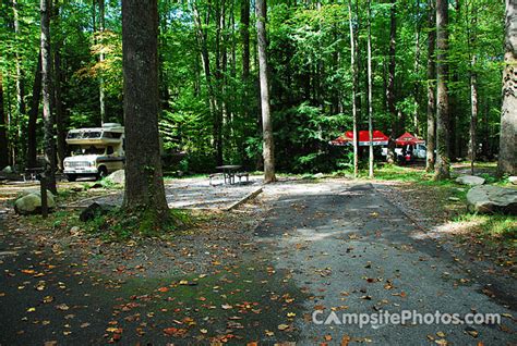 Elkmont - Campsite Photos, Reservations & Camping Info