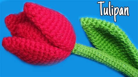 Como Hacer Tulipanes A Crochet R Pidos Y Econ Micos Youtube