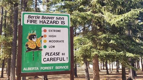 Wildfire Danger Level Very High For The High Level Forest Area Everythinggp