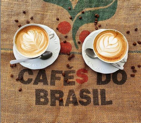 Qual É O Coletivo De Café