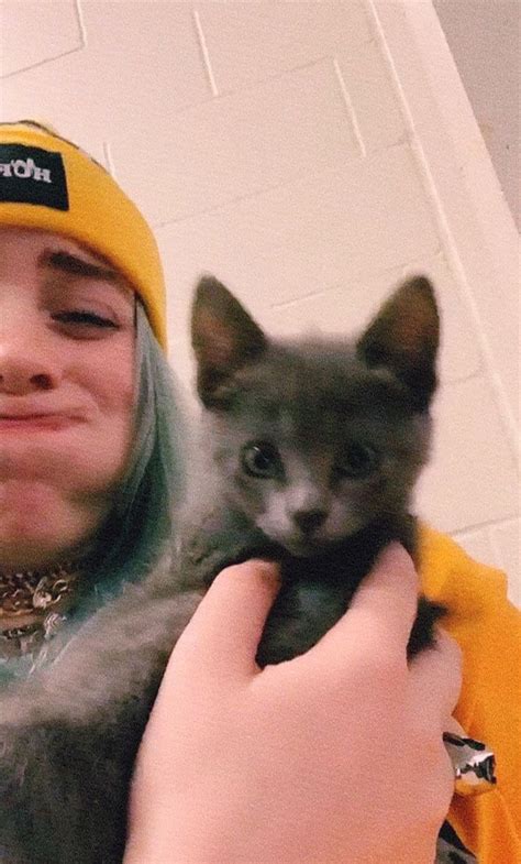 Pin By ˗ˏˋ снаемi ࿐ྂ On ꒰ Billie Eilish Cats Animals Billie Eilish