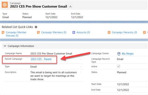 How To Setup Campaigns In Salesforce Blu Ninjas