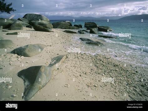 Nudey Beach Fitzroy Island Hi Res Stock Photography And Images Alamy