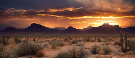 Namib Desert: Exploring Nature’s Beauty - RDA Tourism