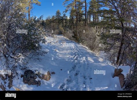 The Thumb Butte Recreation Area Day Use Hiking Trail In The Prescott