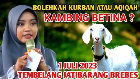 HUKUM BERKURBAN ATAU AQIQAH DENGAN KAMBING BETINA CERAMAH NGAPAK