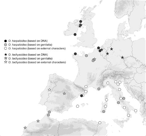 Oxyrhynchus Map