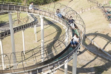 伊豆シャボテン動物公園グループ公式 on Twitter 見晴らし抜群のロングスライダーは昼間もイルミでも楽しめるお友達親子みんな