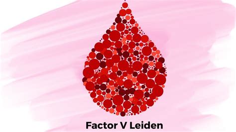 Prueba De Hemostasia Gen Factor V Leiden Análisis Clínicos Y Pruebas