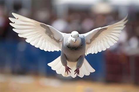 Premium Photo Genetically Enhanced Racing Homer Pigeon With Selective