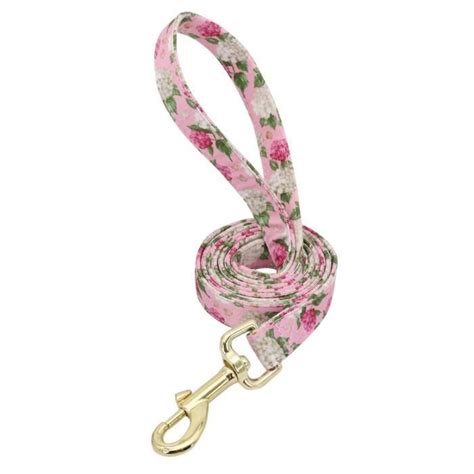 Pink Leash M Collier De Chien Personnalis Grav Avec Laisse En Nylon