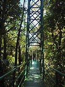 Category:Canopy walkways in Costa Rica - Wikimedia Commons