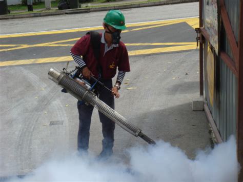 Fumigaciones Integrales Fumintegra Gdl Atlantim