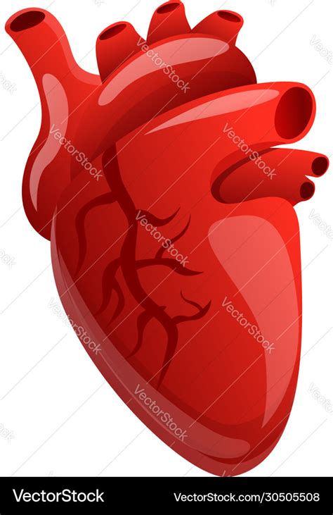 Body Human Heart Icon Cartoon Style Royalty Free Vector