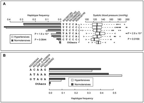 Effects Of Individual Haplotypes Of Leptin Receptor Lepr And Download Scientific Diagram