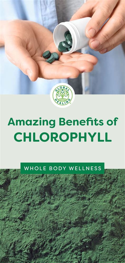 Amazing Benefits Of Chlorophyll Clorofila Beneficios