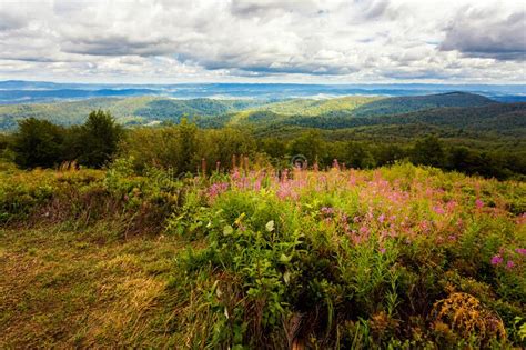 Bukowe Berdo Path In Bieszczady Stock Image Image Of Park Bieszczad