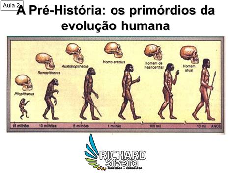 Ao Estudar A Evolução Da Espécie Humana