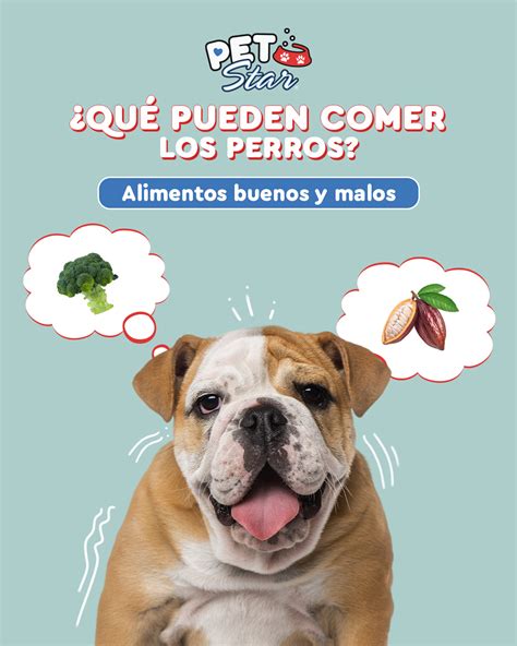 Los Perros Pueden Comer Carne