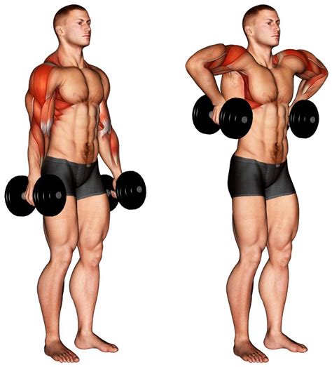 How To Do The Dumbbell Raise Fitness Volt