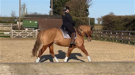 Novice British Dressage Test Youtube