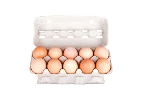 Ten Eggs In A Carton Package Isolated Stock Image Image Of Freshness