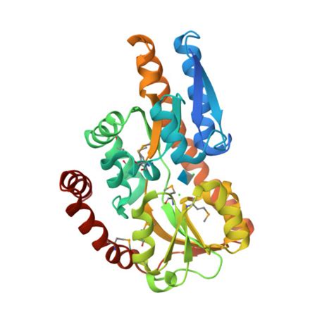 Rcsb Pdb P L Crystal Structure Of A Trap Periplasmic Solute Binding