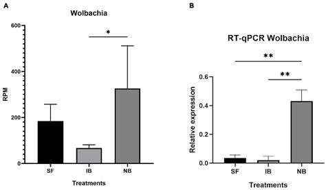 Frontiers Blood Meals With Active And Heat Inactivated Serum Modifies