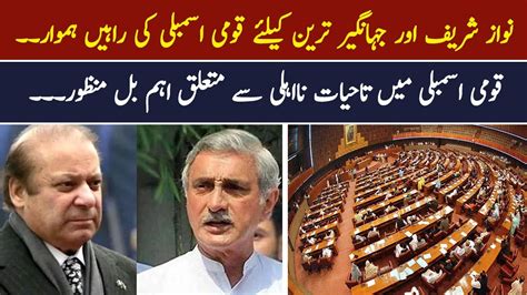 Paving The Way For Nawaz Sharif And Jahangir Tareen In The National